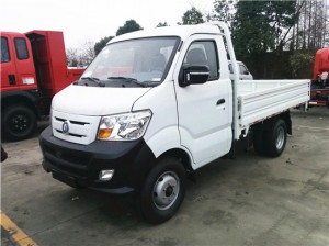 SINOTRUK CDW 2T Light Dump Truck