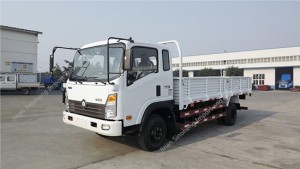 SINOTRUK CDW 6T Light Cargo Truck