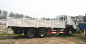 SINOTRUK HOWO 6X4 336hp Cargo Truck