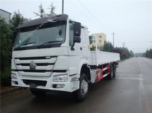 SINOTRUK HOWO 6X4 371hp Cargo Truck