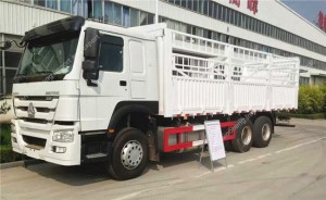 SINOTRUK HOWO 6X4 Cargo Truck