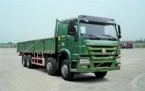 SINOTRUK HOWO 8X4 336hp Cargo Truck