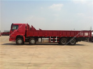 SINOTRUK HOWO 8X4 371hp Cargo Truck