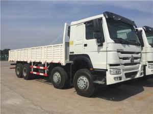 SINOTRUK HOWO 8X4 Cargo Truck